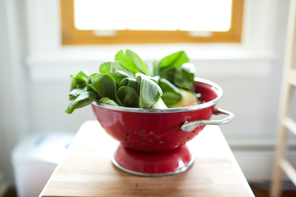 Solutions naturelles de désinfection