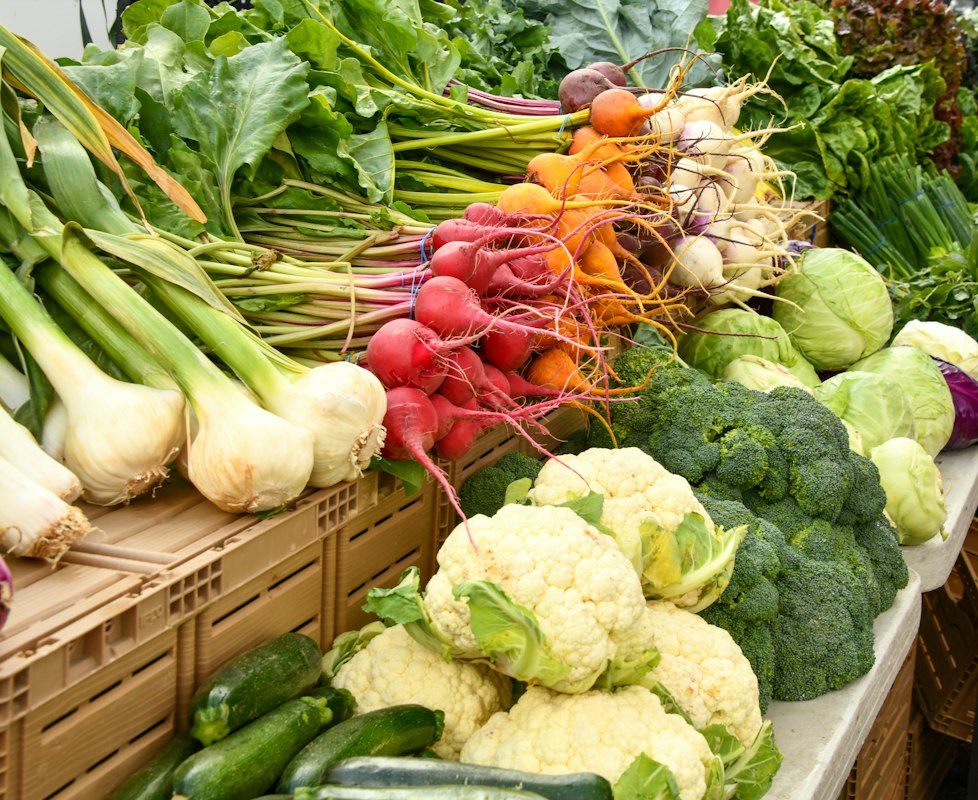 Ressources éducatives sur le nettoyage alimentaire